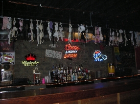 Coyote Ugly - Nashville